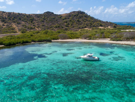 West Indies Concierge launches luxury Charters.