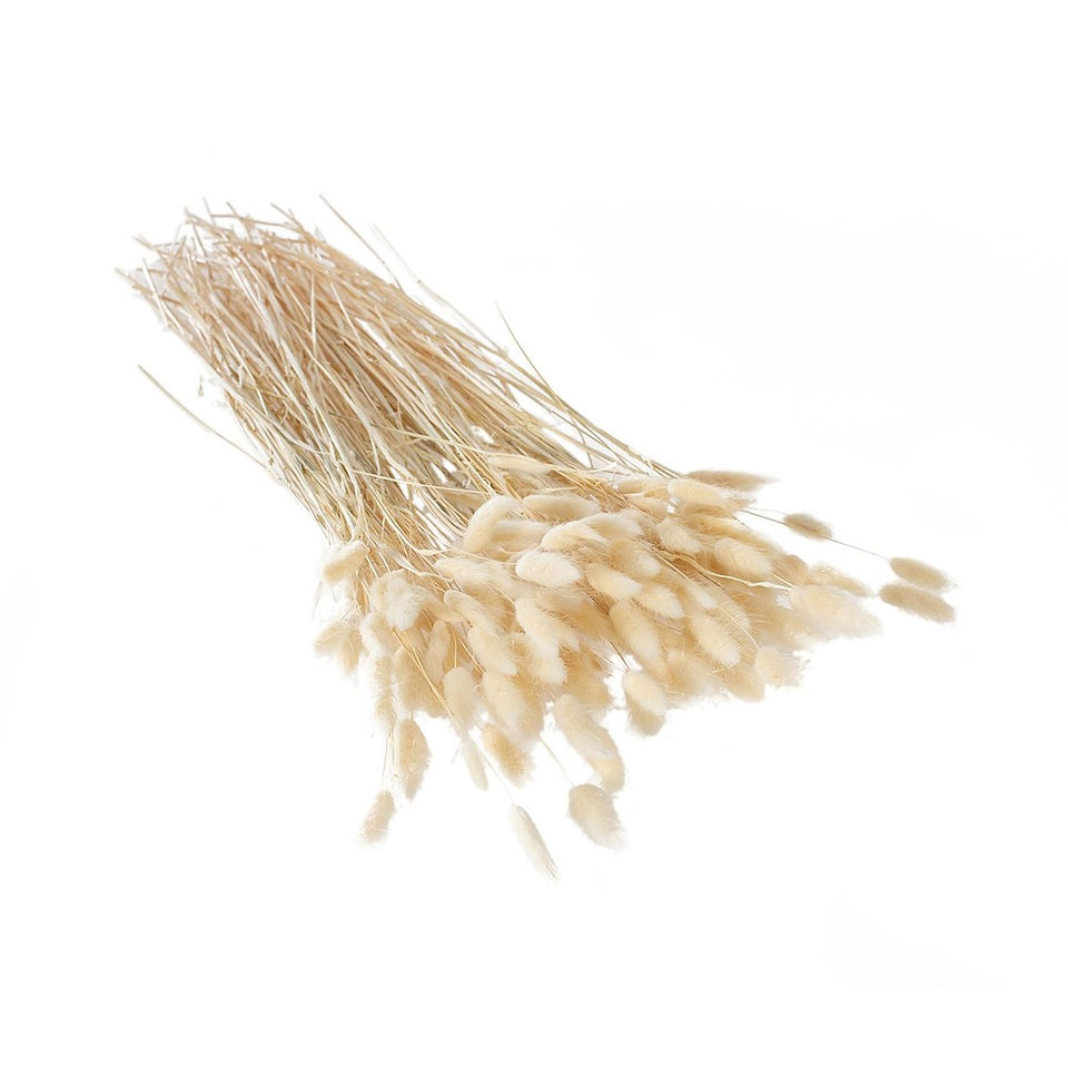 LAGRUS GRASS BUNDLE