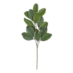 MAGNOLIA LEAF SPRAY