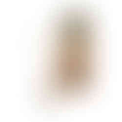 MAGNOLIA HOME GARDEN DIFFUSER