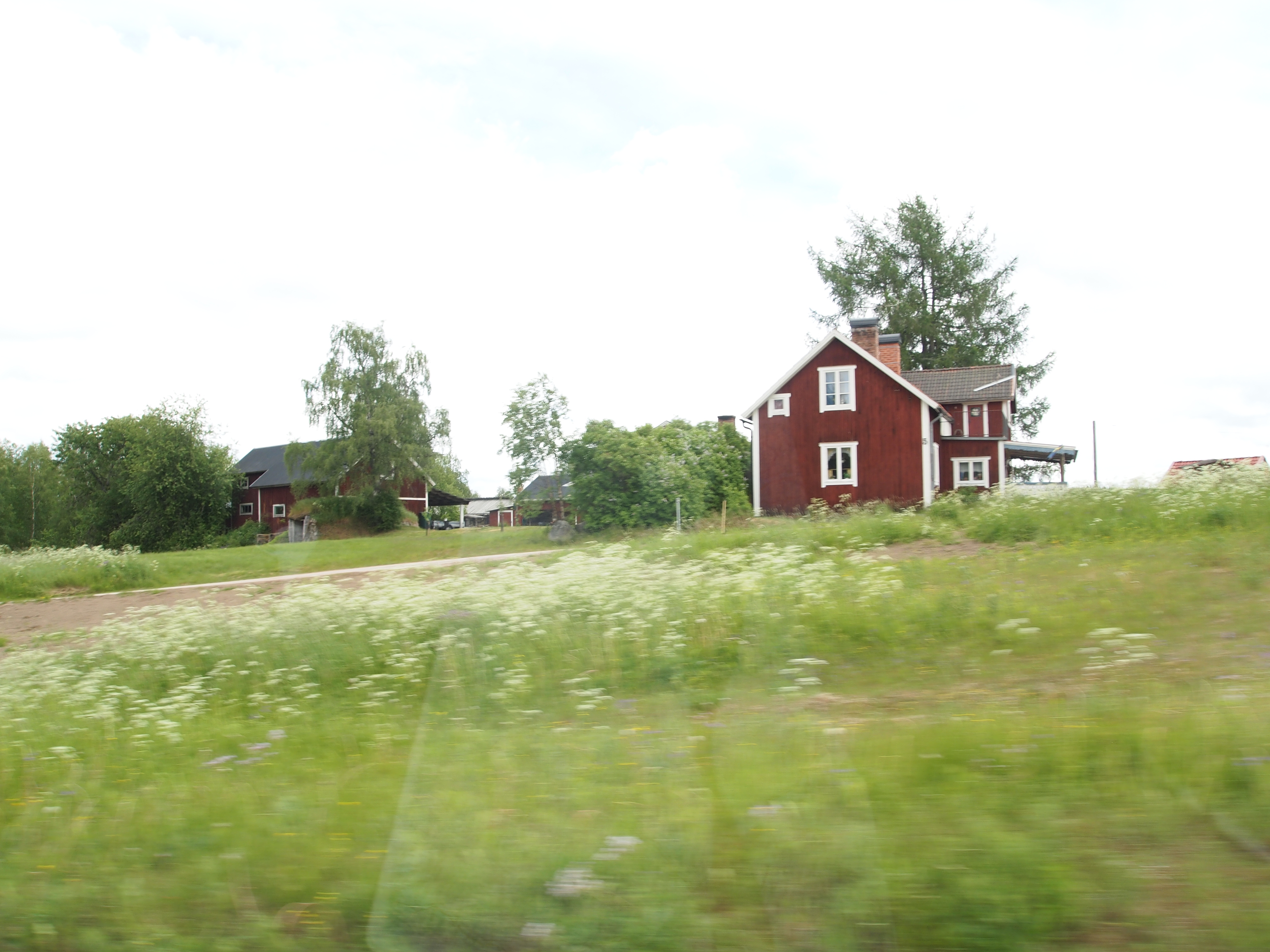 P6202553