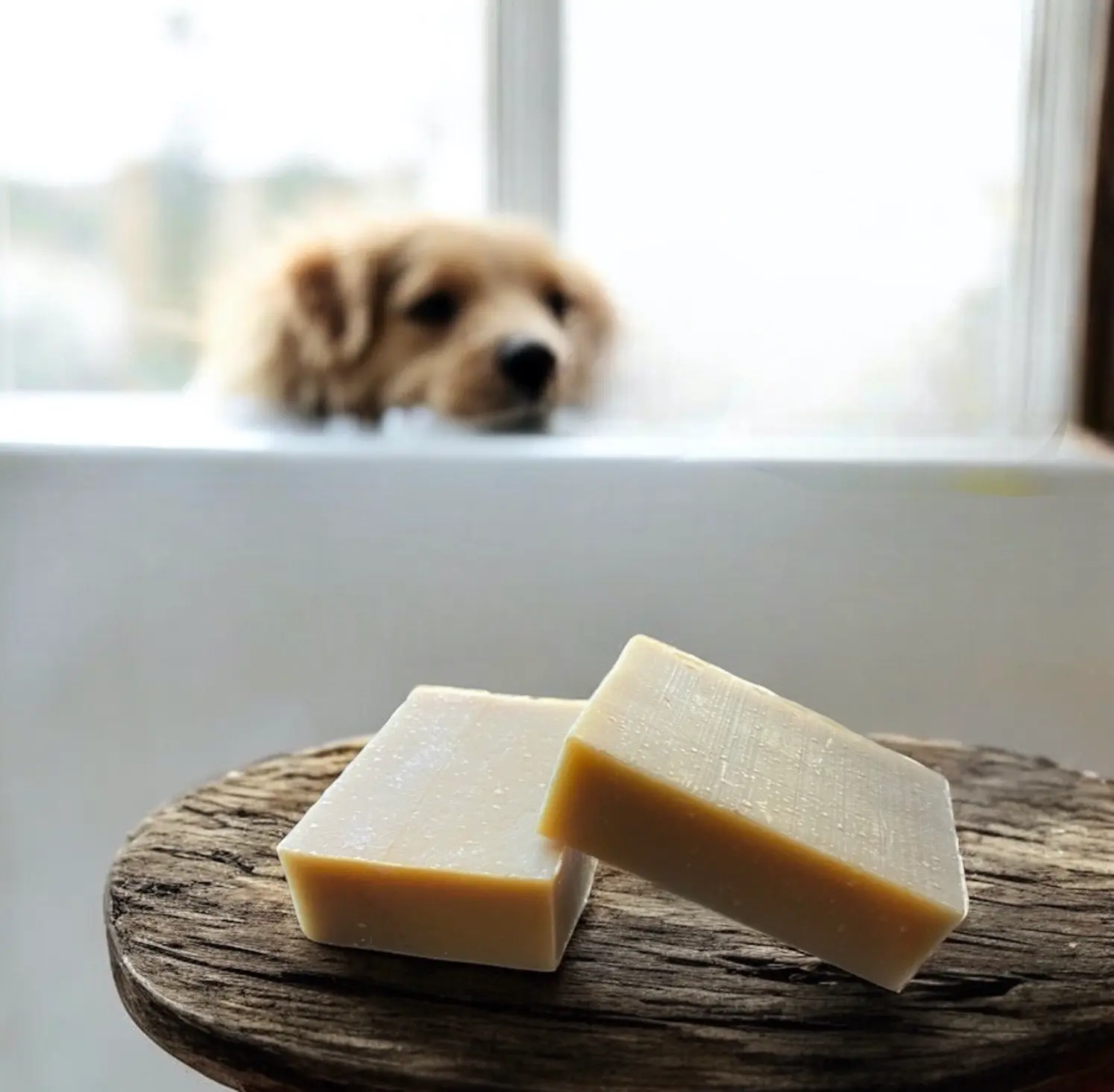 Pet Shampoo Bar