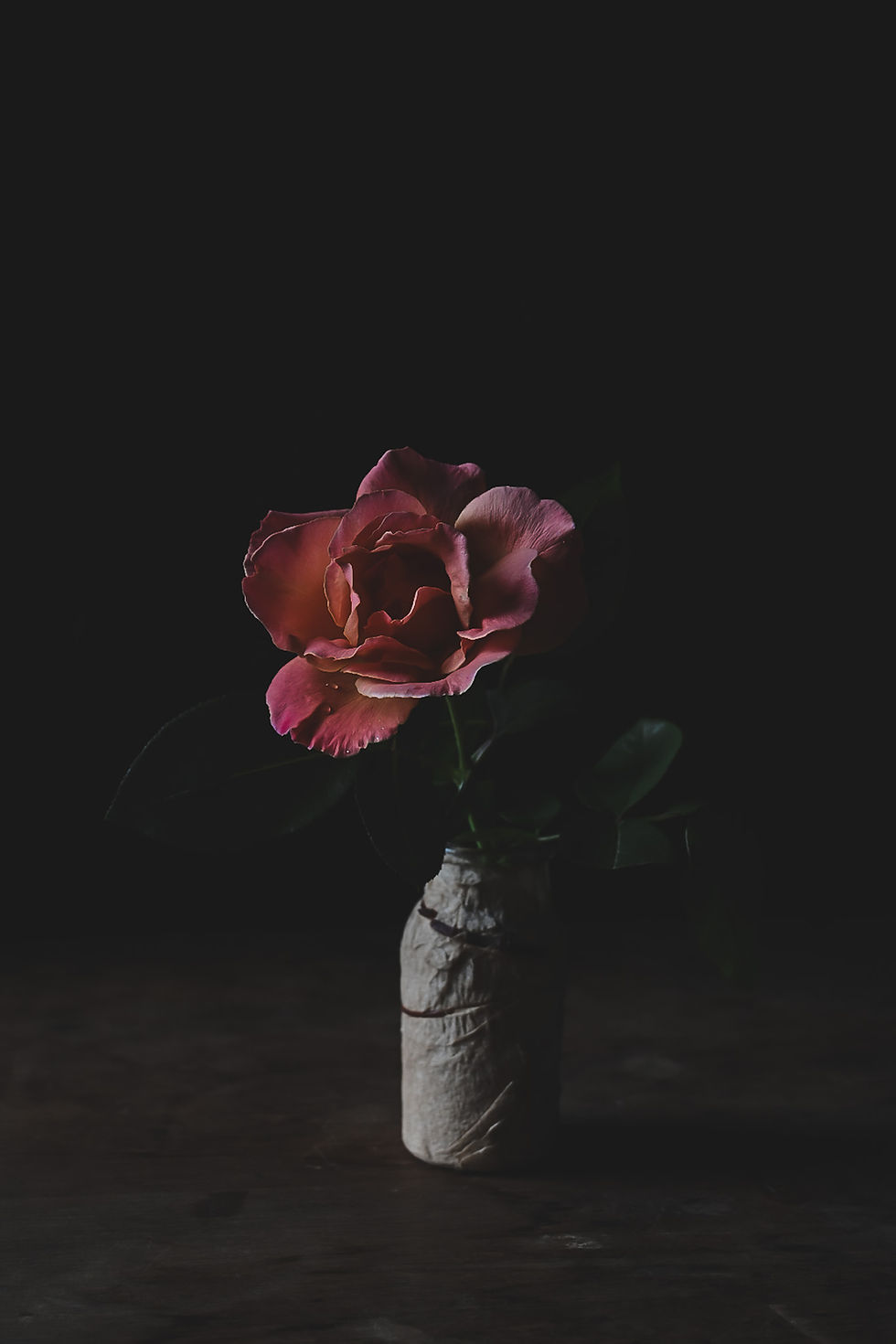 Thumbnail: Remnants Still Life Photo Series