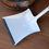 Thumbnail: White Dustpan