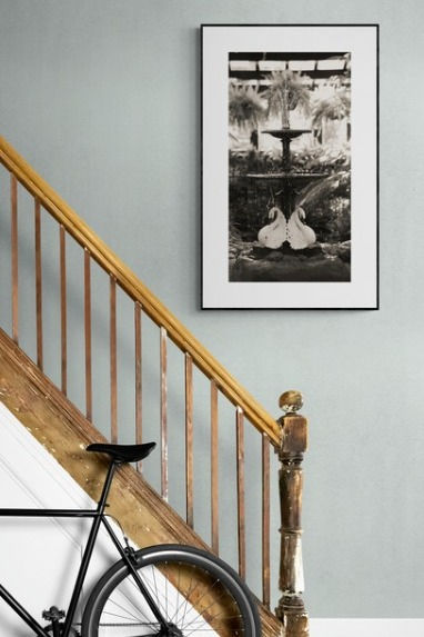 Thumbnail: Cook Park Series Photgraphic Prints