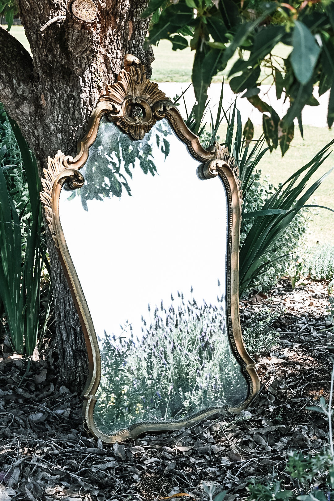 Ornate Roccoco Style Mirror