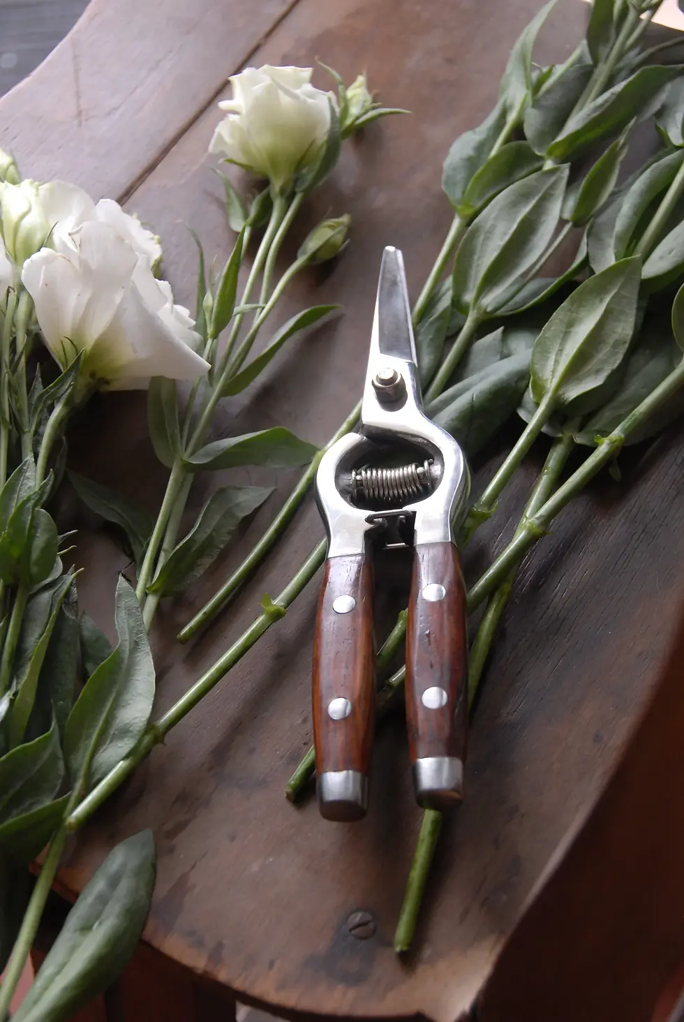 Thumbnail: Flower Snips