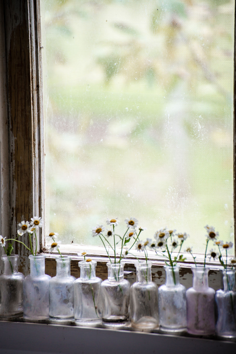 Thumbnail: Florals Photo Prints