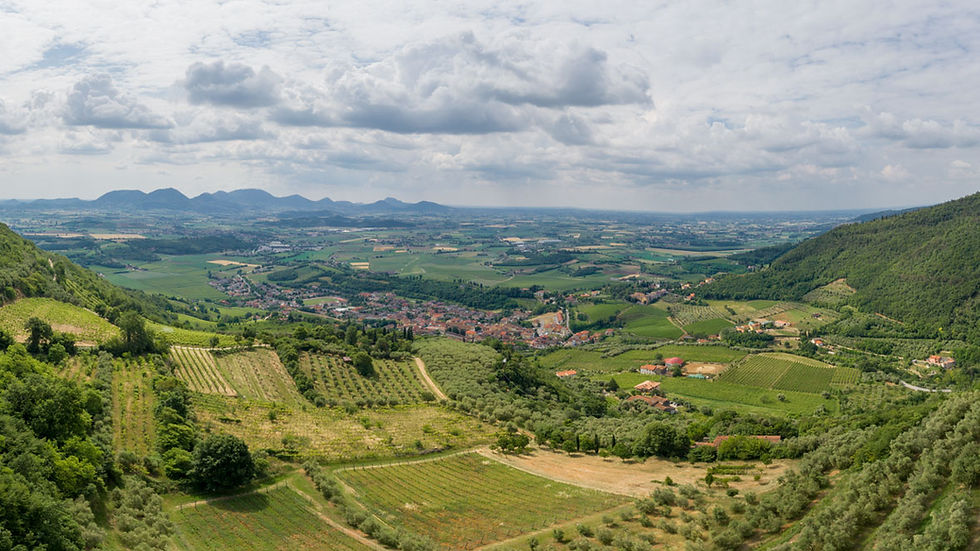 Festa apertura!!! SAVE THE DATE