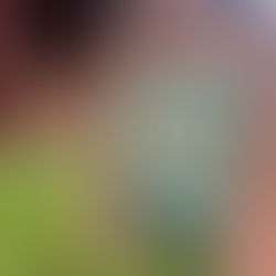 Exploring History and Circus Charm: A Visit to Al Ringling Mansion