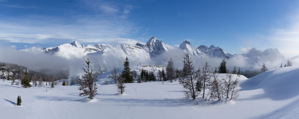 Alpine Stillness
