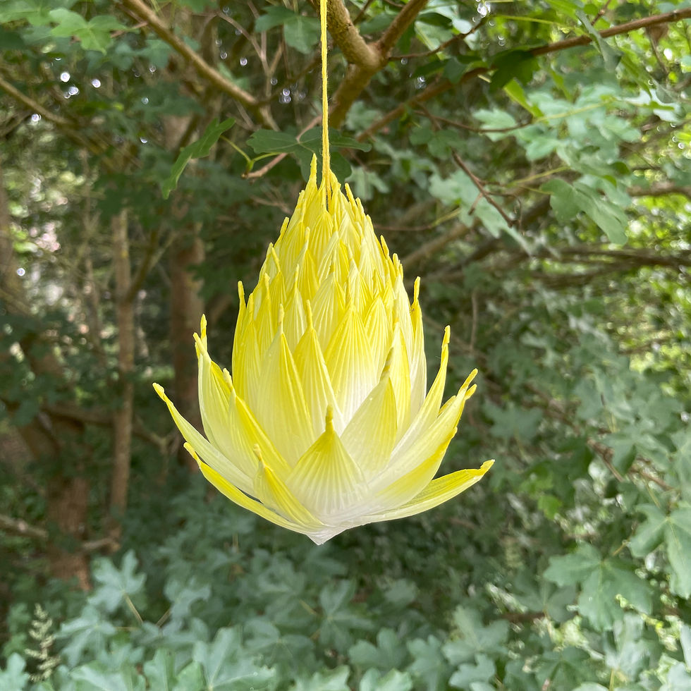 Miniaturbild: oh-licht botanical ornament