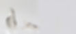Earrings banner photo.jpg