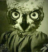 13494850_506211962920910_372125526766300