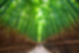 AdobeStock_162784457.jpeg