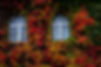 AdobeStock_387952533.jpeg
