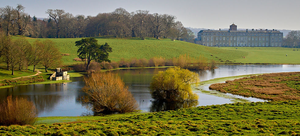 PETWORTH by Graham Ainge