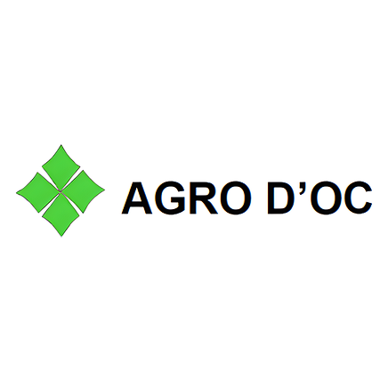 2002 (1).png