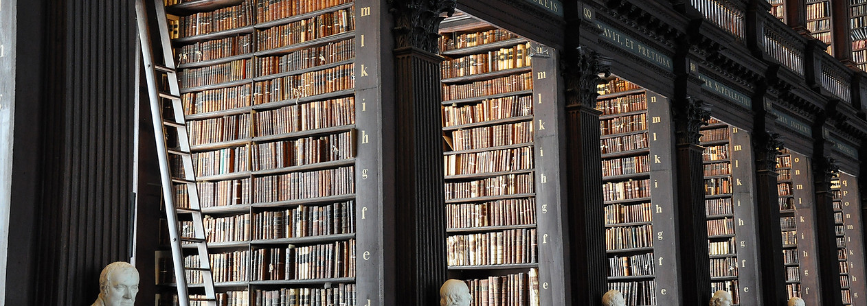Traditional Library