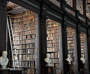 Traditional Library