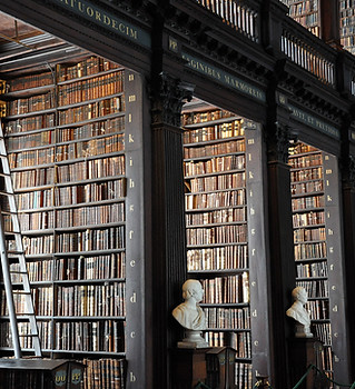 Biblioteca tradicional