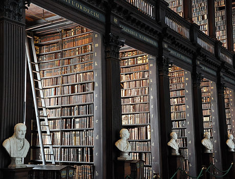 Traditional Library