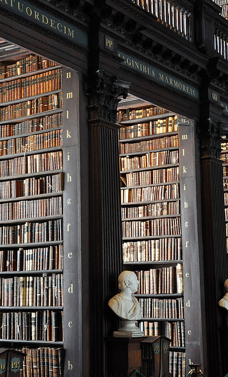 Traditional Library