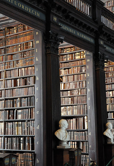 Traditional Library