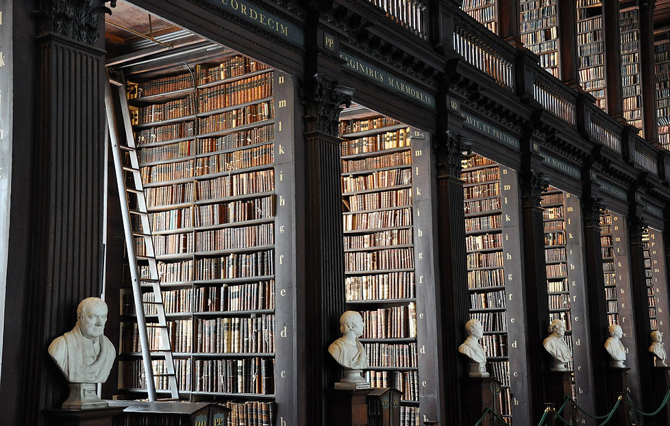 Traditional Library