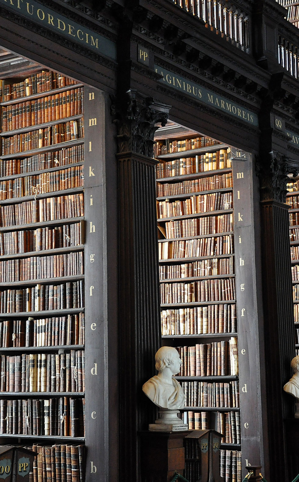 Traditional Library