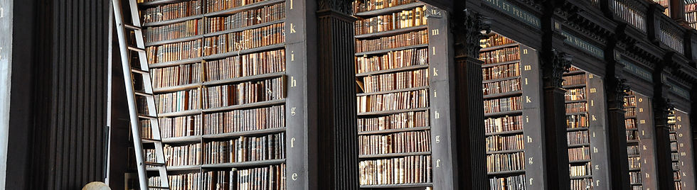 Traditional Library