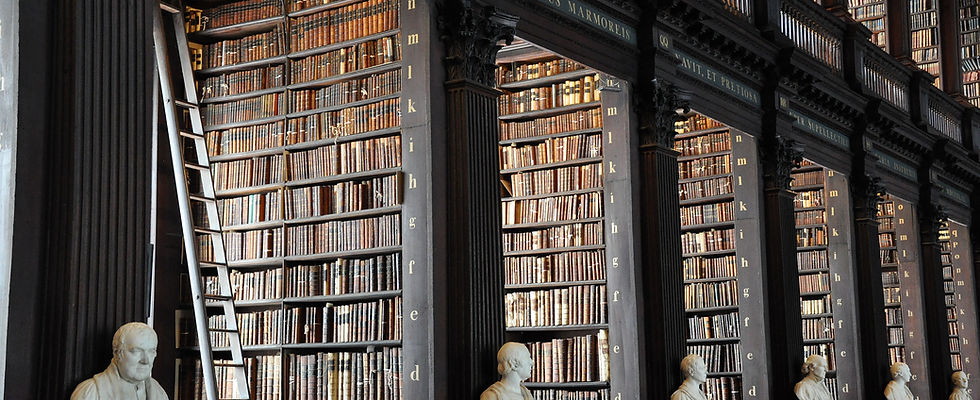 Traditional Library