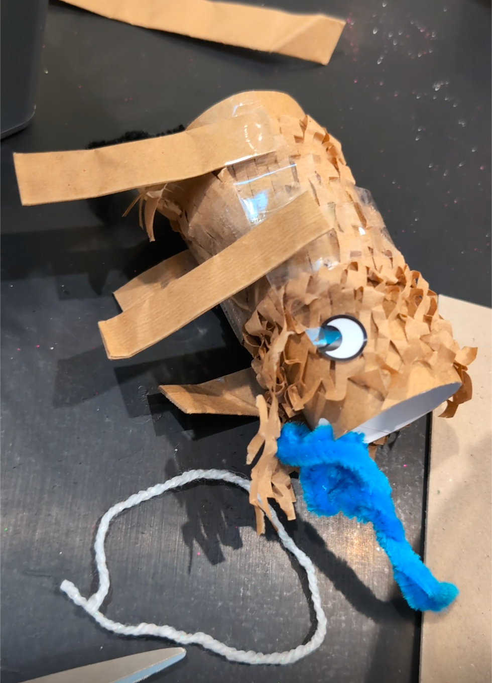 Mystery box result, blue tongue lizard!