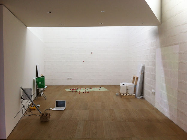 paolo brambilla, darsena residency, galleria massimodeluca, agostino bergamaschi, isabelle legate, marco strappato, regina magdalena sebald, nicola setari, simone frangi, catherine biocca