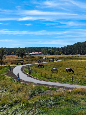 Horses in pasture near RV park campground