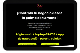 website-wix-seo-expert (3).png