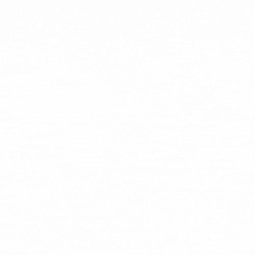 Logotipo timanimado.gif