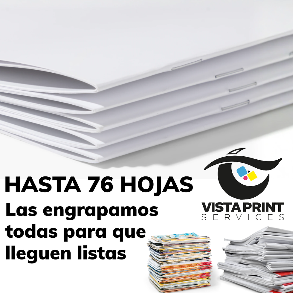 Miniatura: Folletos impresos tipo revistas empresariales engrapados - Precio SOLO ABONO