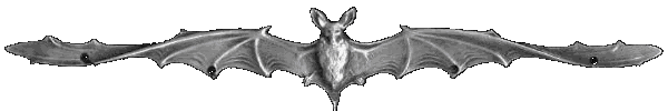 bat_bar.gif