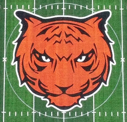 Waynesville High School synthetic turf football field midfield logo built by Midwest Synthetic Turf Professionals.