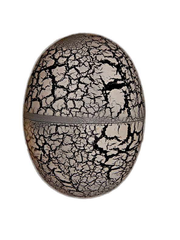 Cegg cutout-0.png