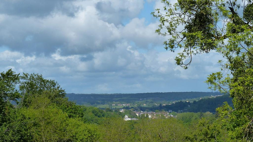 Surroundings