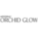 Orchid-Glow