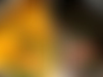 The Story of Hot Pot: From Ancient Origins to Modern Blue Blue 🔥🍲