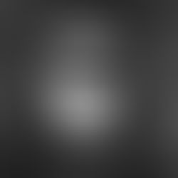 Šeduva's Vegetarian