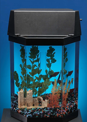 Aquarium