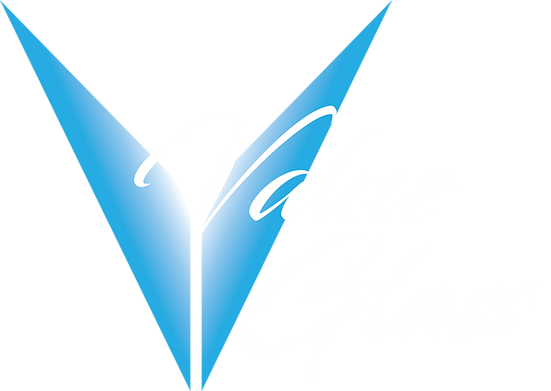 Pet Doors Canberra Value Glass