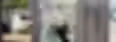 c097be_d3a52a0f5f384eeda12ba6a93ecc76fb~mv2.avif