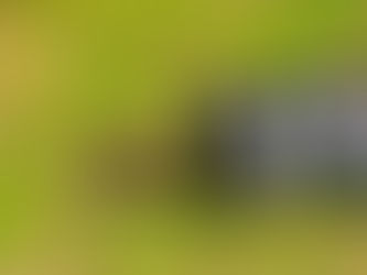 Not so much of a birdbrain!