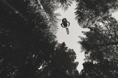 CWX_8_3_25-05771_web